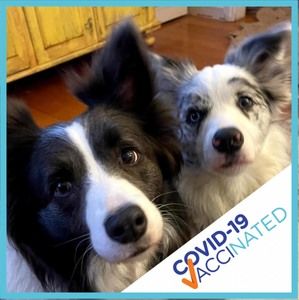 Meet your Posher, Caroline